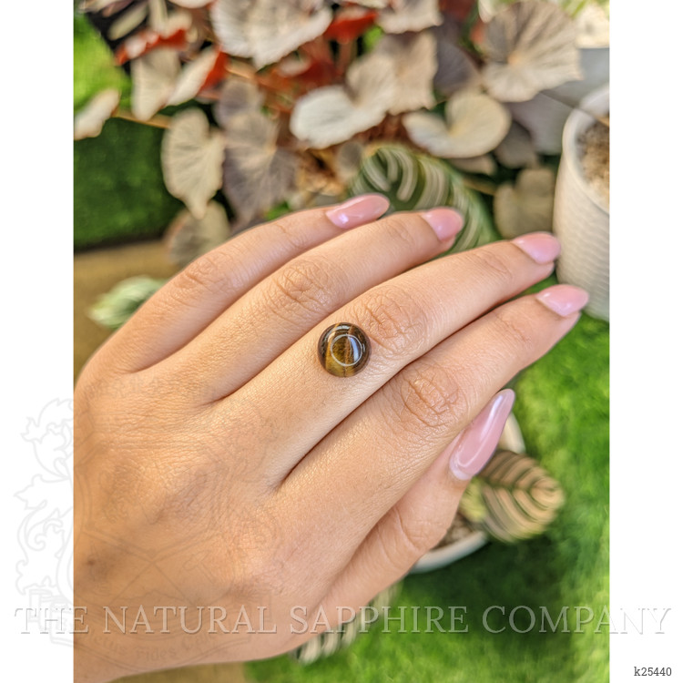 4.58 Ct. Cabochon Tiger's Eye from Ceylon (Sri Lanka)