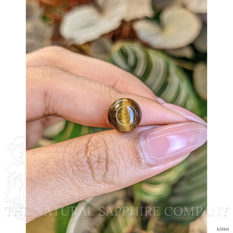 4.38 Ct. Cabochon Tiger's Eye from Ceylon (Sri Lanka)