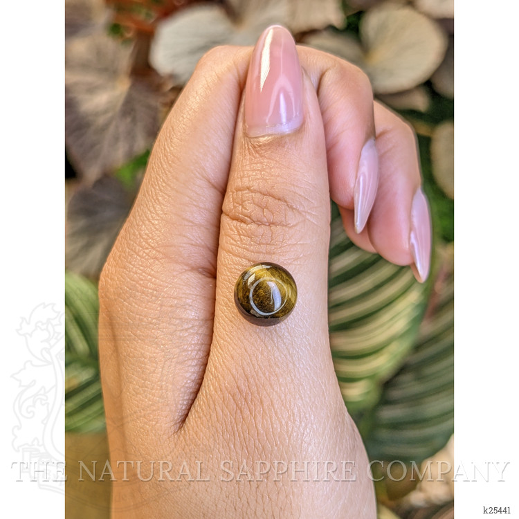 4.38 Ct. Cabochon Tiger's Eye from Ceylon (Sri Lanka)