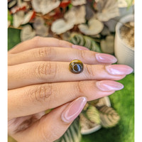 4.38 Ct. Cabochon Tiger's Eye from Ceylon (Sri Lanka) Life Style