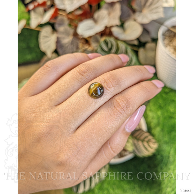 4.38 Ct. Cabochon Tiger's Eye from Ceylon (Sri Lanka)