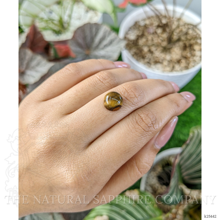 4.33 Ct. Cabochon Tiger's Eye from Ceylon (Sri Lanka)