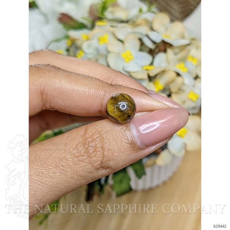 4.33 Ct. Cabochon Tiger's Eye from Ceylon (Sri Lanka)