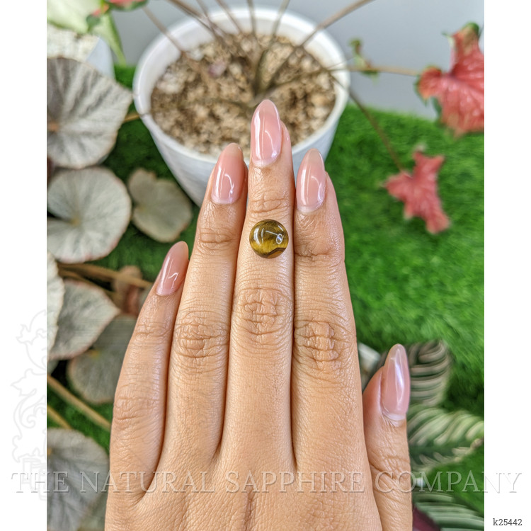 4.33 Ct. Cabochon Tiger's Eye from Ceylon (Sri Lanka)