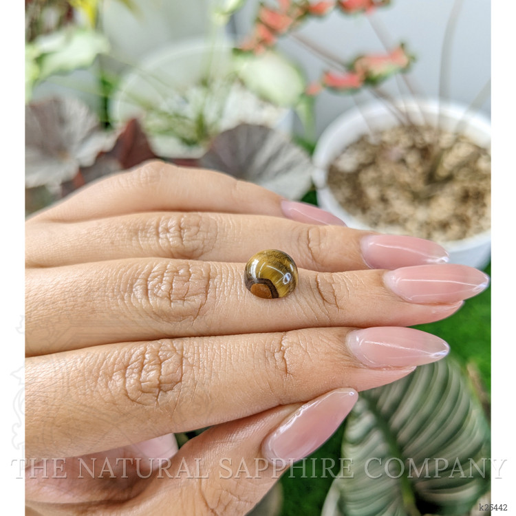 4.33 Ct. Cabochon Tiger's Eye from Ceylon (Sri Lanka)
