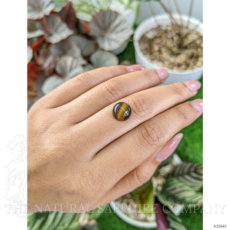 4.31 Ct. Cabochon Tiger's Eye from Ceylon (Sri Lanka)
