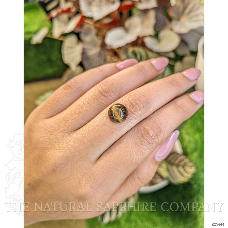4.47 Ct. Cabochon Tiger's Eye from Ceylon (Sri Lanka)