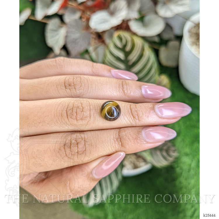 4.47 Ct. Cabochon Tiger's Eye from Ceylon (Sri Lanka)