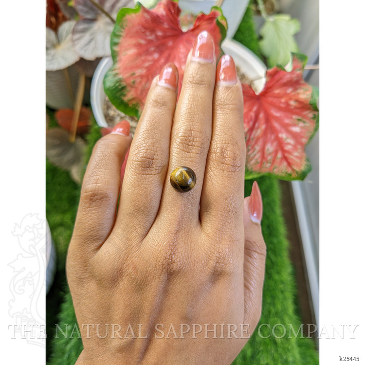4.75 Ct. Cabochon Tiger's Eye from Ceylon (Sri Lanka)