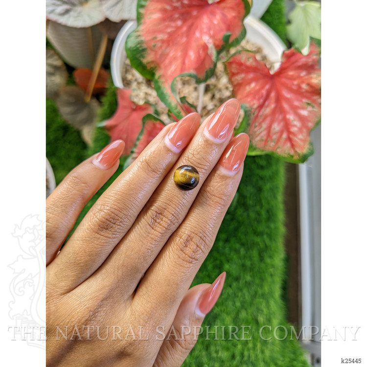 4.75 Ct. Cabochon Tiger's Eye from Ceylon (Sri Lanka)