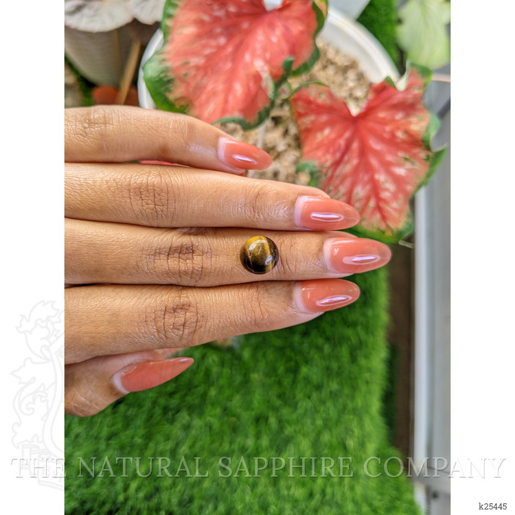 4.75 Ct. Cabochon Tiger's Eye from Ceylon (Sri Lanka)