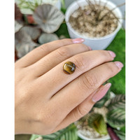 4.24 Ct. Cabochon Tiger's Eye from Ceylon (Sri Lanka) Life Style
