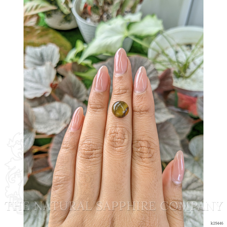 4.24 Ct. Cabochon Tiger's Eye from Ceylon (Sri Lanka)