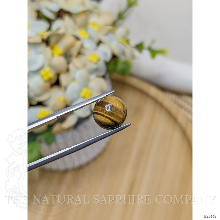 4.50 Ct. Cabochon Tiger's Eye from Ceylon (Sri Lanka)