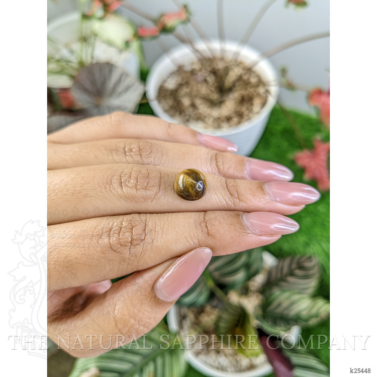 4.50 Ct. Cabochon Tiger's Eye from Ceylon (Sri Lanka)