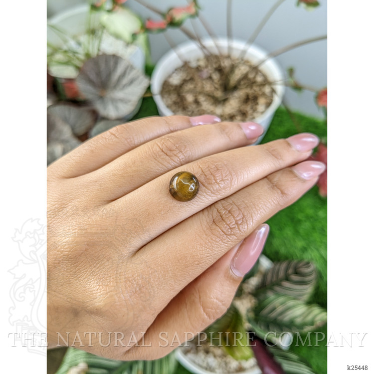 4.50 Ct. Cabochon Tiger's Eye from Ceylon (Sri Lanka)