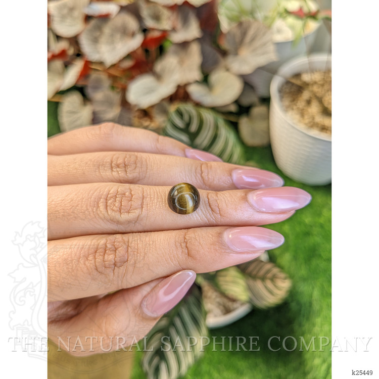 4.31 Ct. Cabochon Tiger's Eye from Ceylon (Sri Lanka)