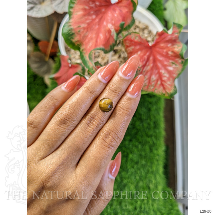 4.43 Ct. Cabochon Tiger's Eye from Ceylon (Sri Lanka)