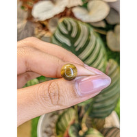 4.22 Ct. Cabochon Tiger's Eye from Ceylon (Sri Lanka) Life Style