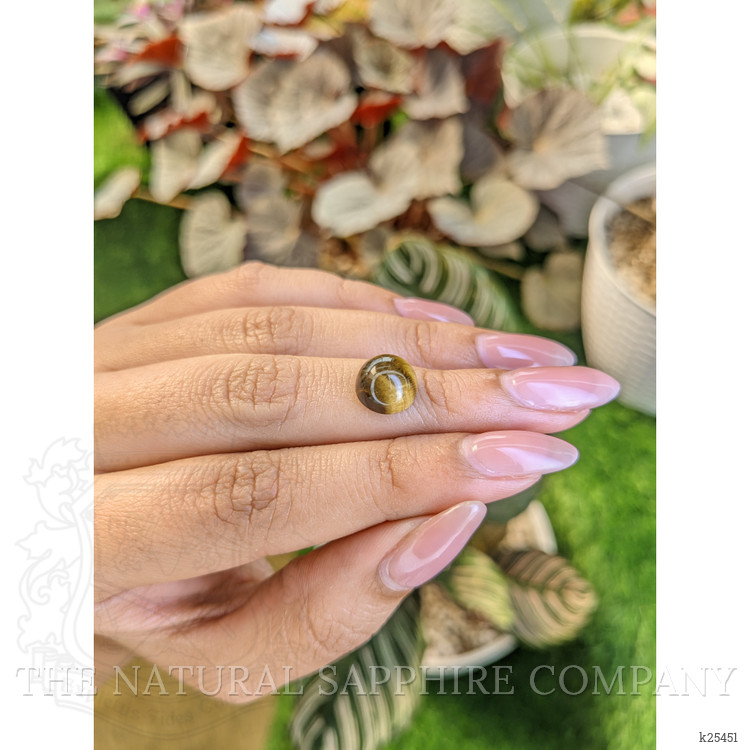 4.22 Ct. Cabochon Tiger's Eye from Ceylon (Sri Lanka)