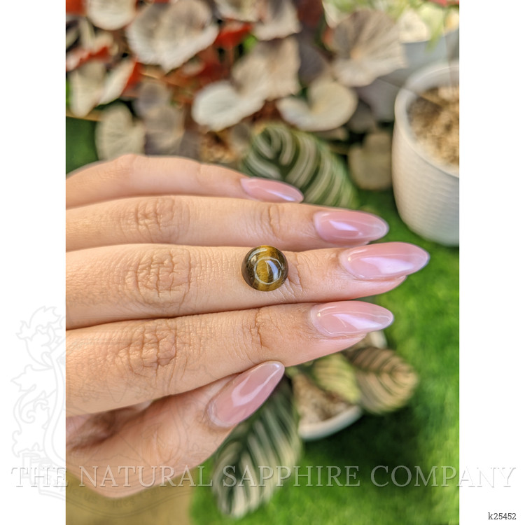 4.25 Ct. Cabochon Tiger's Eye from Ceylon (Sri Lanka)