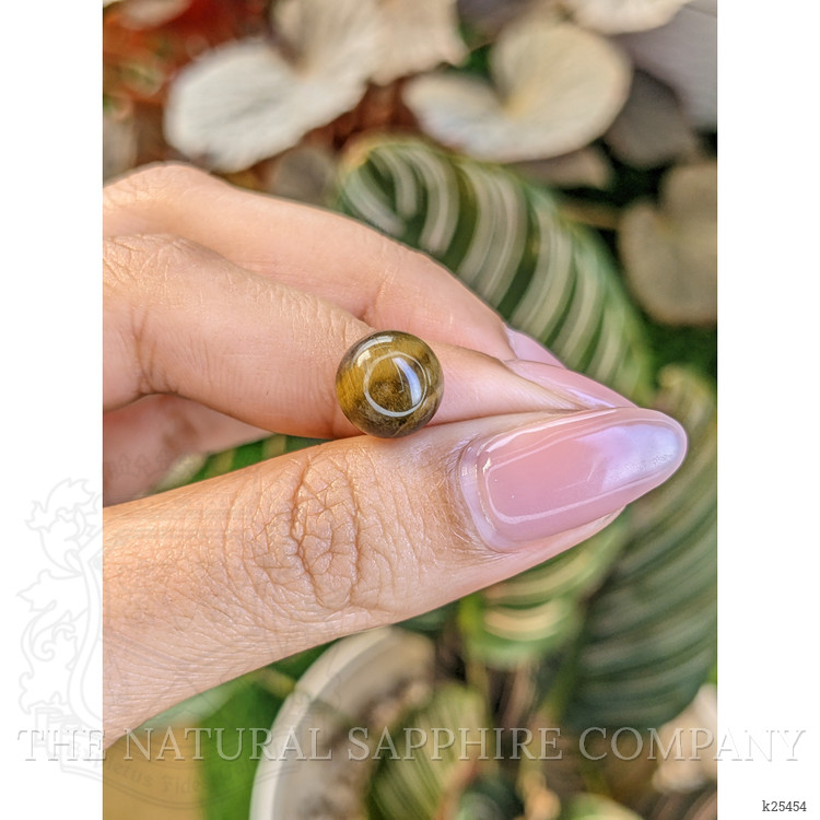 4.31 Ct. Cabochon Tiger's Eye from Ceylon (Sri Lanka)