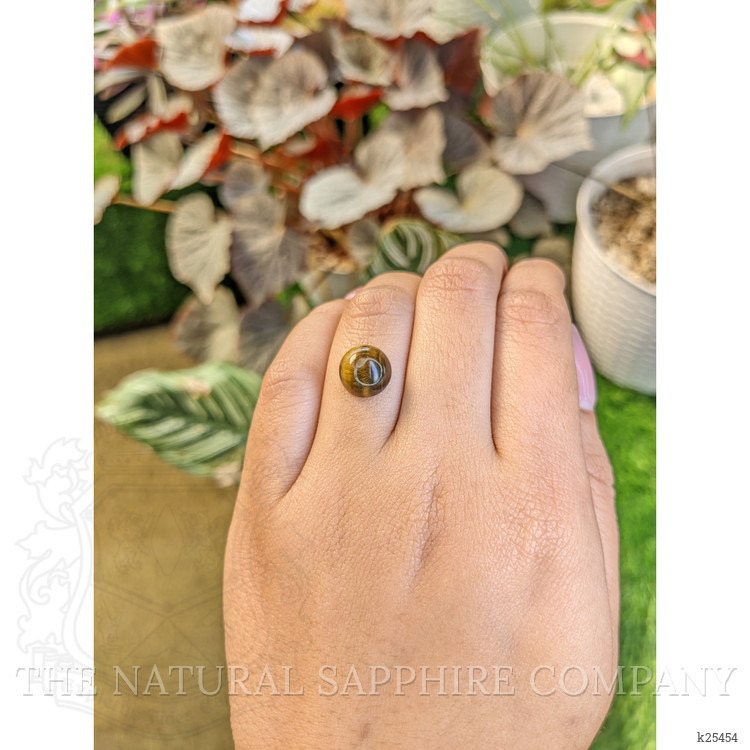 4.31 Ct. Cabochon Tiger's Eye from Ceylon (Sri Lanka)