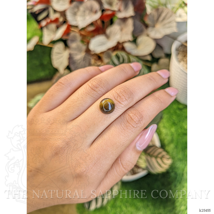 4.38 Ct. Cabochon Tiger's Eye from Ceylon (Sri Lanka)