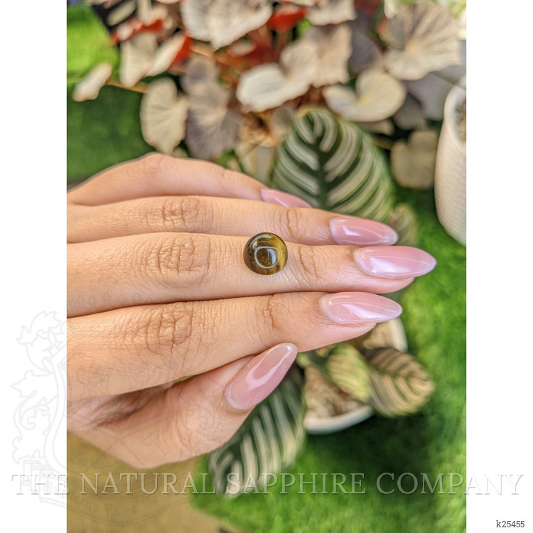 4.38 Ct. Cabochon Tiger's Eye from Ceylon (Sri Lanka)