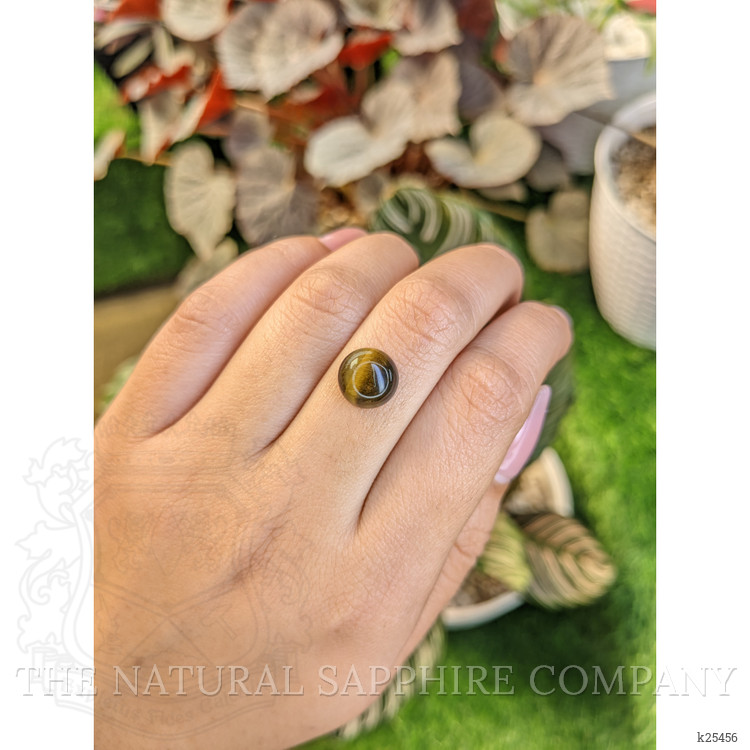 4.27 Ct. Cabochon Tiger's Eye from Ceylon (Sri Lanka)