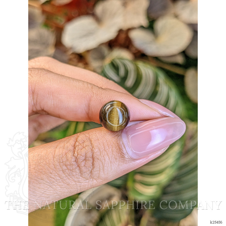 4.27 Ct. Cabochon Tiger's Eye from Ceylon (Sri Lanka)