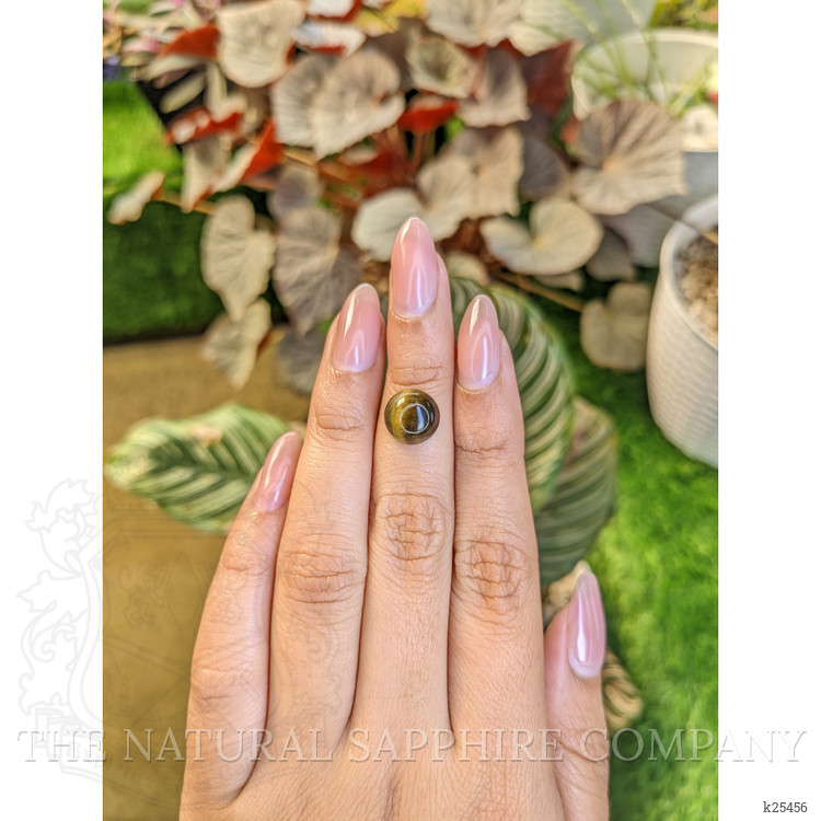4.27 Ct. Cabochon Tiger's Eye from Ceylon (Sri Lanka)