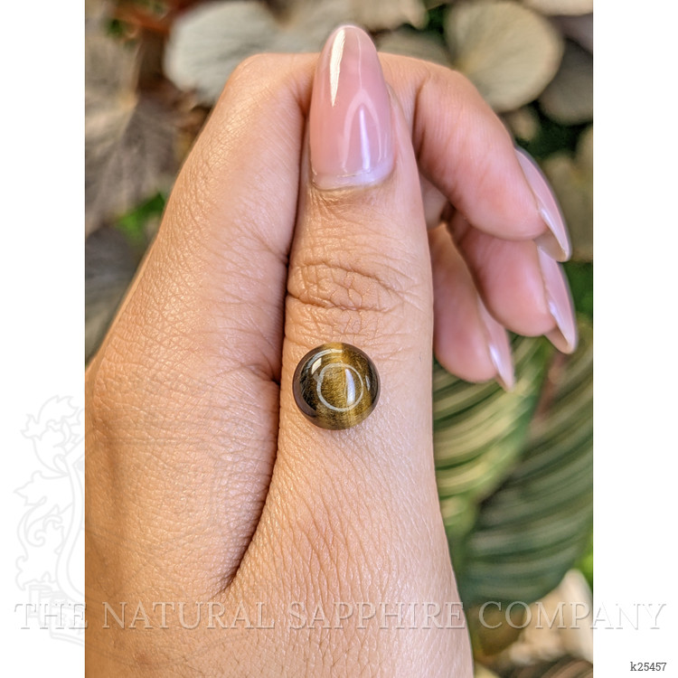 4.37 Ct. Cabochon Tiger's Eye from Ceylon (Sri Lanka)