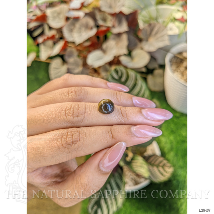 4.37 Ct. Cabochon Tiger's Eye from Ceylon (Sri Lanka)