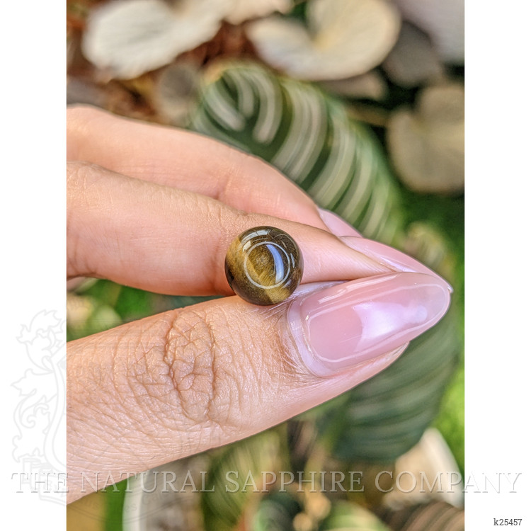 4.37 Ct. Cabochon Tiger's Eye from Ceylon (Sri Lanka)