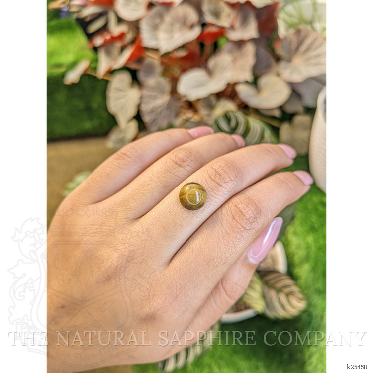 4.47 Ct. Cabochon Tiger's Eye from Ceylon (Sri Lanka)