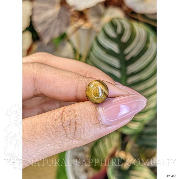 4.47 Ct. Cabochon Tiger's Eye from Ceylon (Sri Lanka)