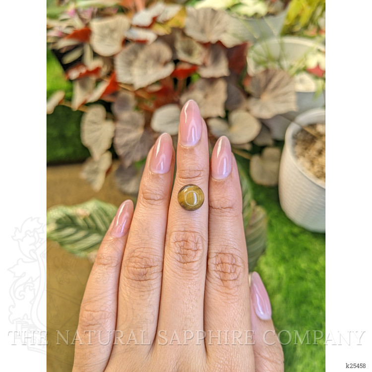 4.47 Ct. Cabochon Tiger's Eye from Ceylon (Sri Lanka)