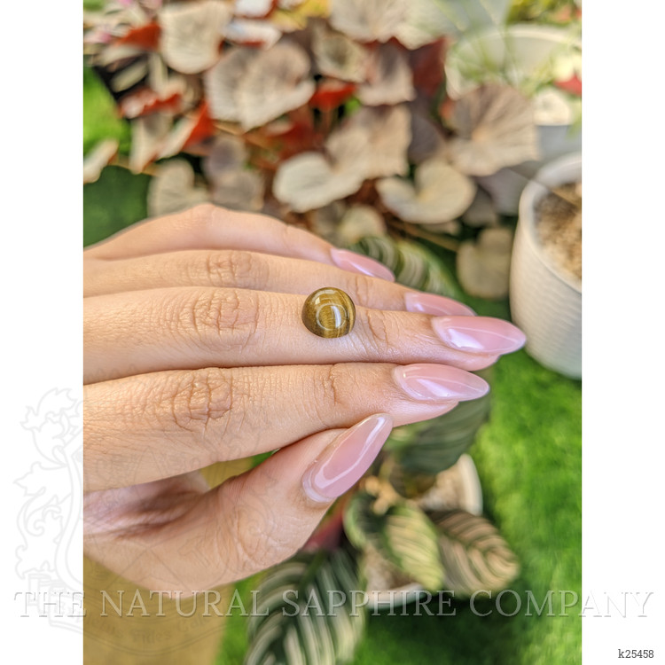 4.47 Ct. Cabochon Tiger's Eye from Ceylon (Sri Lanka)
