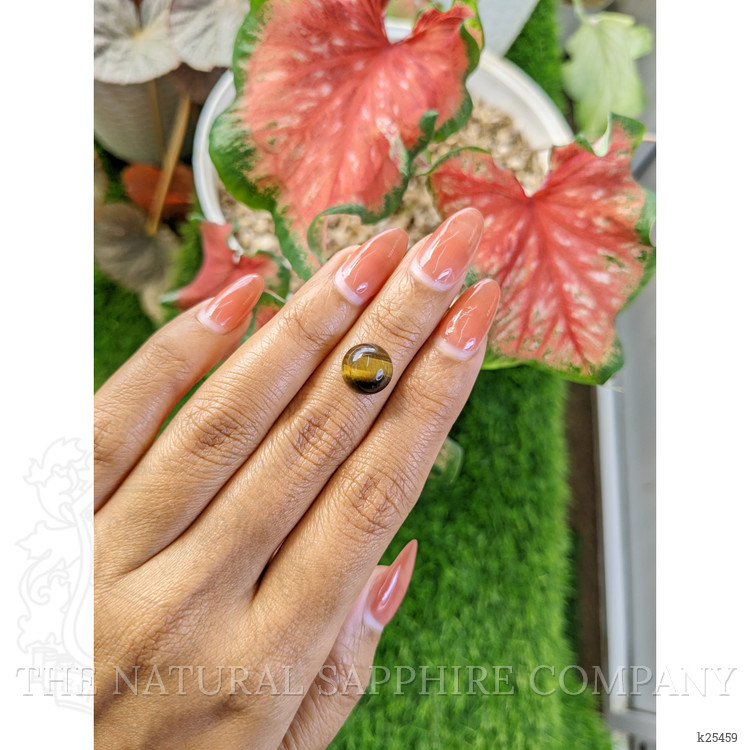4.39 Ct. Cabochon Tiger's Eye from Ceylon (Sri Lanka)