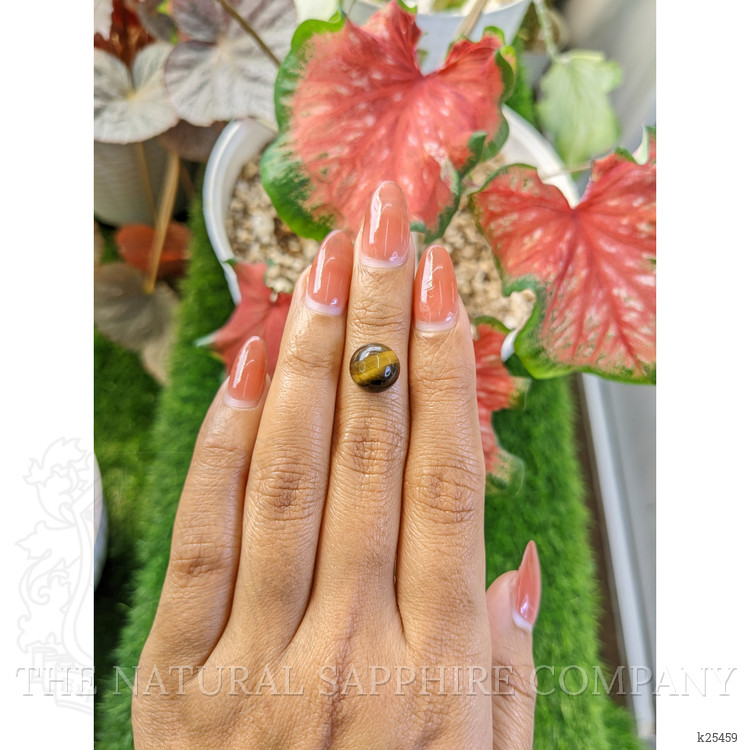 4.39 Ct. Cabochon Tiger's Eye from Ceylon (Sri Lanka)