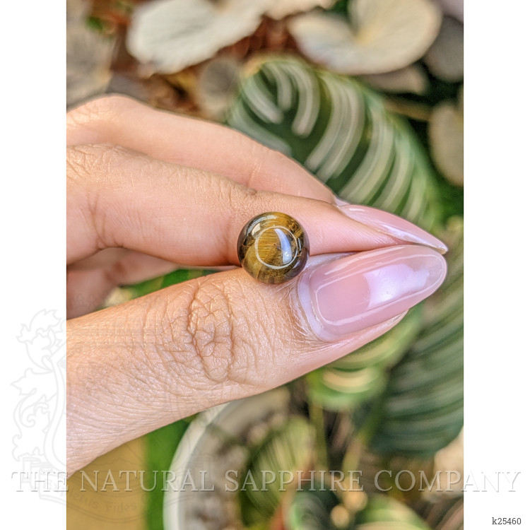 4.42 Ct. Cabochon Tiger's Eye from Ceylon (Sri Lanka)