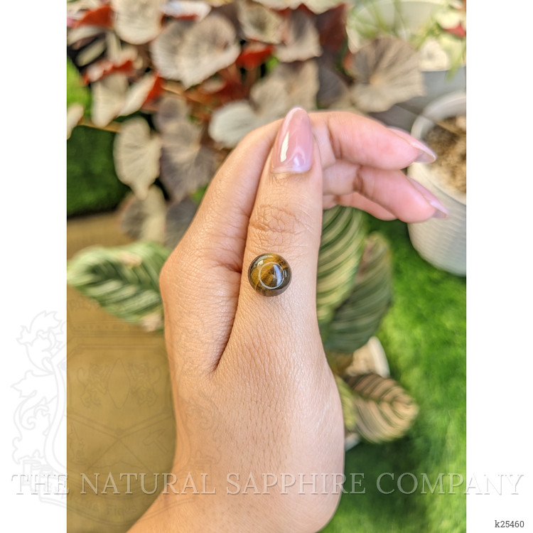 4.42 Ct. Cabochon Tiger's Eye from Ceylon (Sri Lanka)