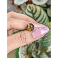 4.63 Ct. Cabochon Tiger's Eye from Ceylon (Sri Lanka) Life Style