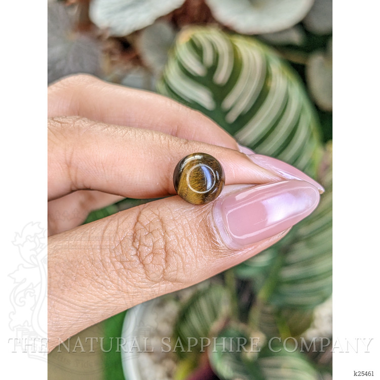 4.63 Ct. Cabochon Tiger's Eye from Ceylon (Sri Lanka)