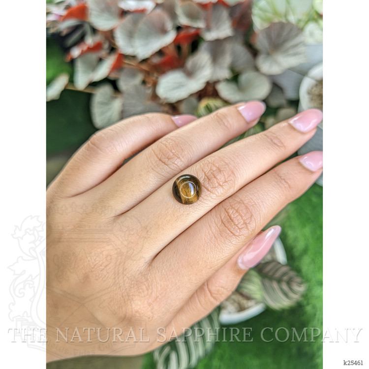 4.63 Ct. Cabochon Tiger's Eye from Ceylon (Sri Lanka)