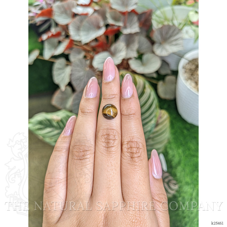 4.63 Ct. Cabochon Tiger's Eye from Ceylon (Sri Lanka)