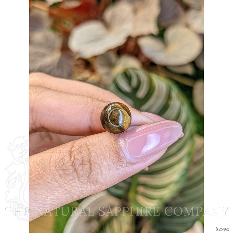 4.45 Ct. Cabochon Tiger's Eye from Ceylon (Sri Lanka)