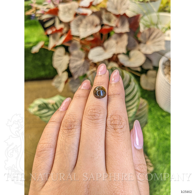 4.45 Ct. Cabochon Tiger's Eye from Ceylon (Sri Lanka)