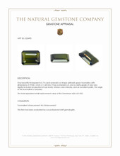 67.74 Ct. Yellowish Green Tourmaline from Tanzania Appraisal